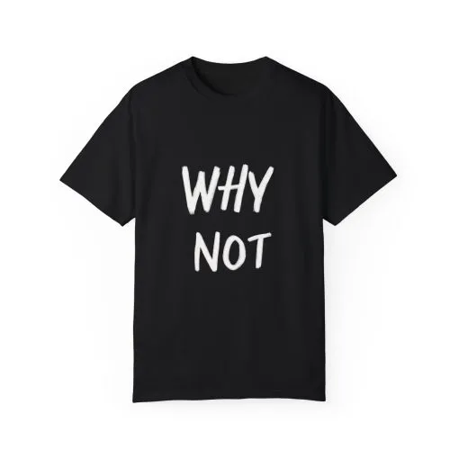 Unisex Why Not Garment-Dyed T-Shirt - Positive Vibe Casual Wear - Image 29