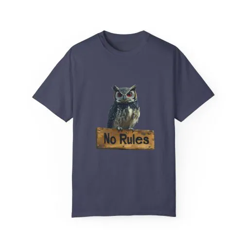 Funny Owl T-Shirt - "No Rules" Unisex Garment-Dyed Tee for Animal Lovers - Image 33