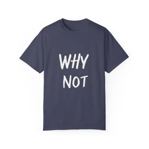 Unisex Why Not Garment-Dyed T-Shirt - Positive Vibe Casual Wear - Image 25