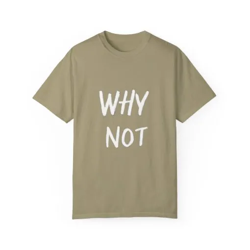 Unisex Why Not Garment-Dyed T-Shirt - Positive Vibe Casual Wear - Image 5