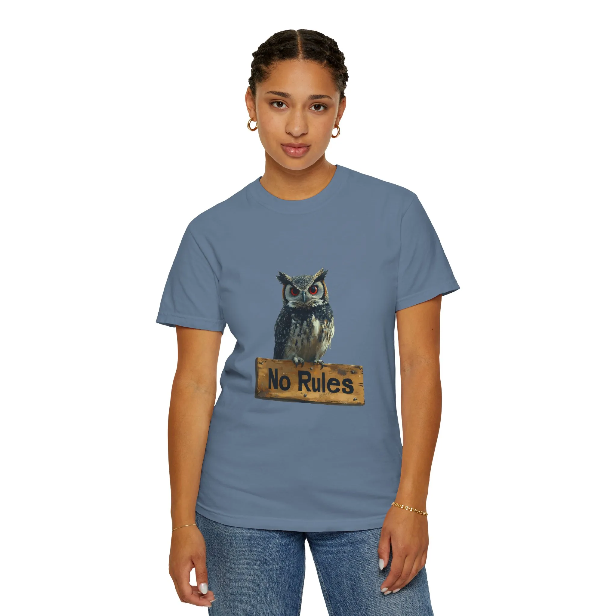 Funny Owl T-Shirt - "No Rules" Unisex Garment-Dyed Tee for Animal Lovers - Image 20