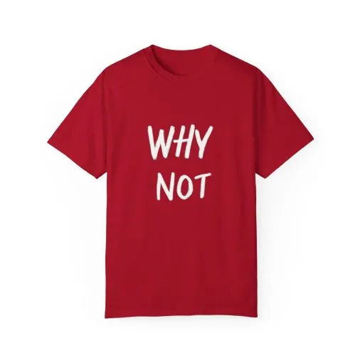 Why Not? Unisex Garment-Dyed T-Shirt - Casual Fun Statement Tee - Image 41