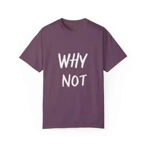 Unisex Why Not Garment-Dyed T-Shirt - Positive Vibe Casual Wear - Image 41