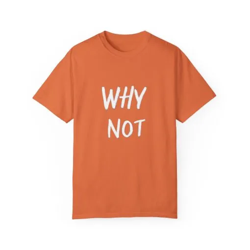 Why Not? Unisex Garment-Dyed T-Shirt - Casual Fun Statement Tee - Image 5