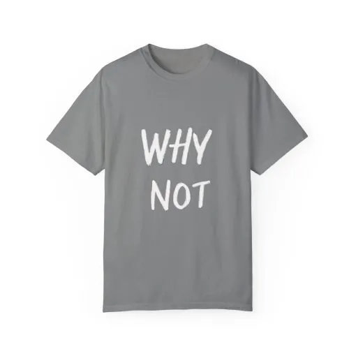 Unisex Why Not Garment-Dyed T-Shirt - Positive Vibe Casual Wear - Image 21