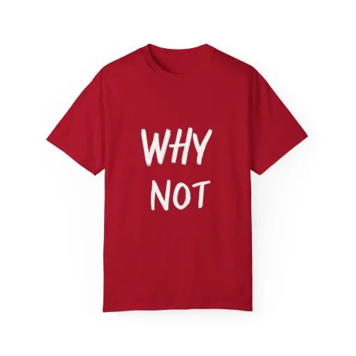 Unisex Why Not Garment-Dyed T-Shirt - Positive Vibe Casual Wear - Image 53