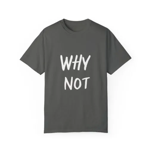 Unisex Why Not Garment-Dyed T-Shirt - Positive Vibe Casual Wear - Image 9
