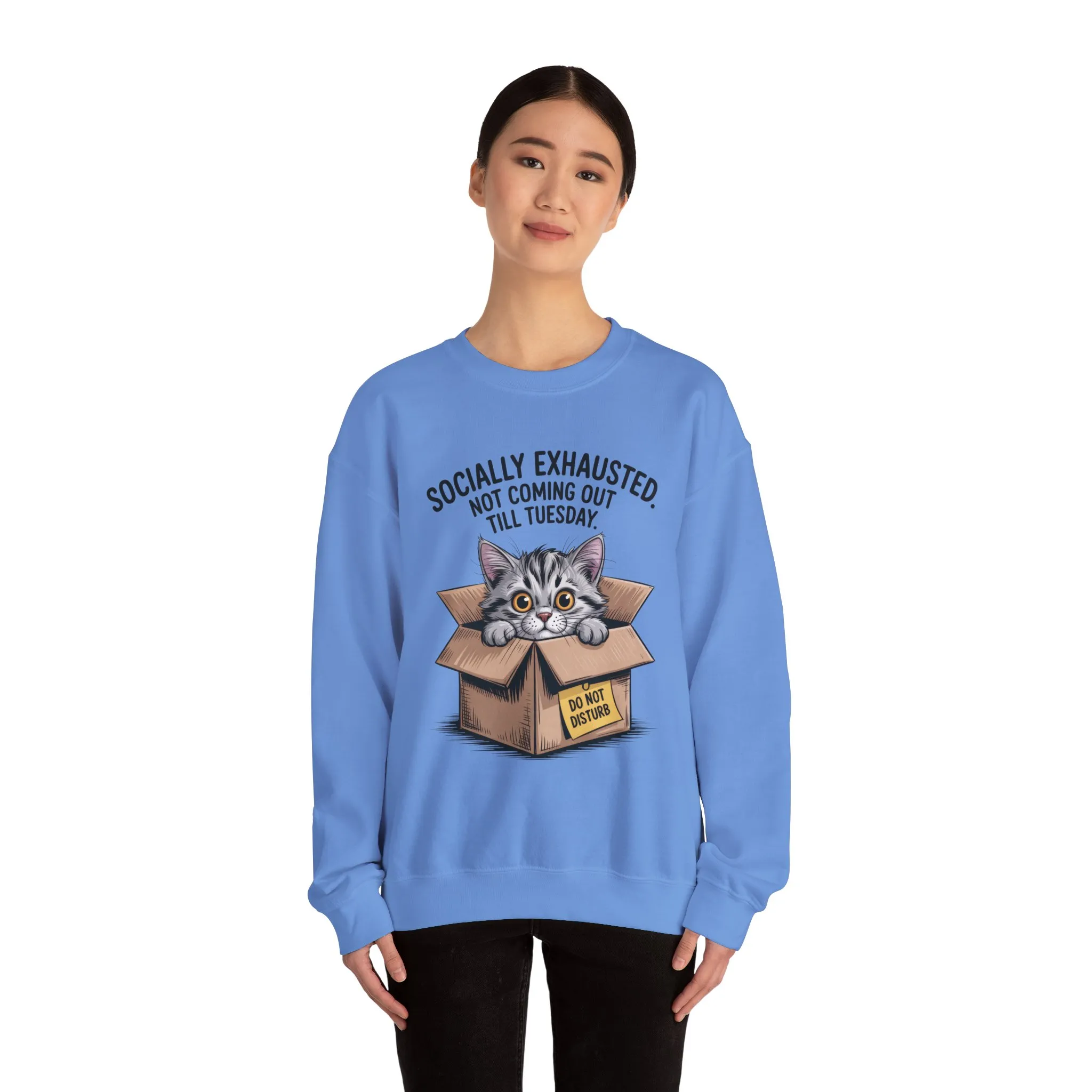 Socially Exhausted Cat Sweatshirt, Funny Cat Crewneck, Gift for Cat Lovers, Cozy Unisex Pullover, Weekend Comfort Apparel - Image 11