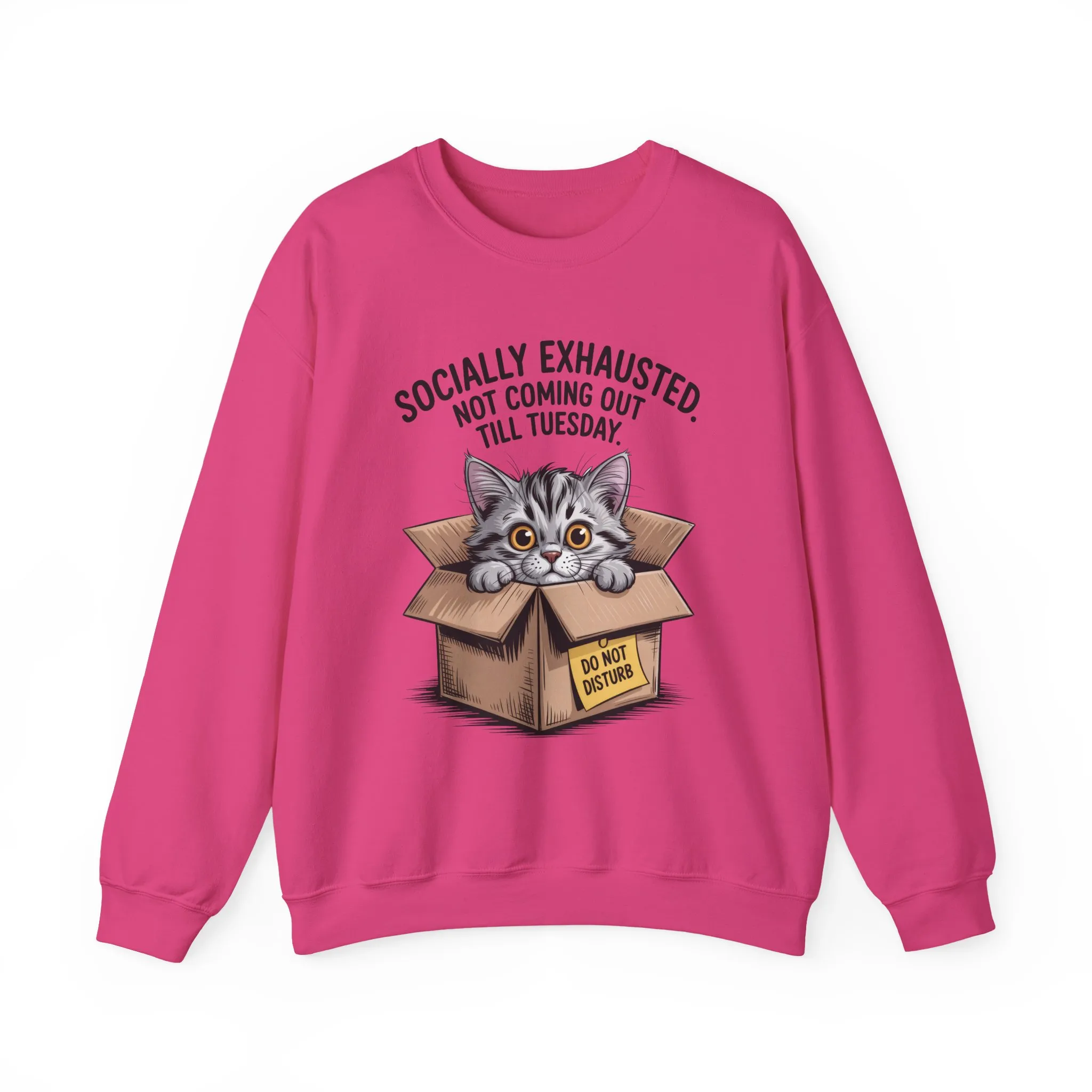 Socially Exhausted Cat Sweatshirt, Funny Cat Crewneck, Gift for Cat Lovers, Cozy Unisex Pullover, Weekend Comfort Apparel - Image 22