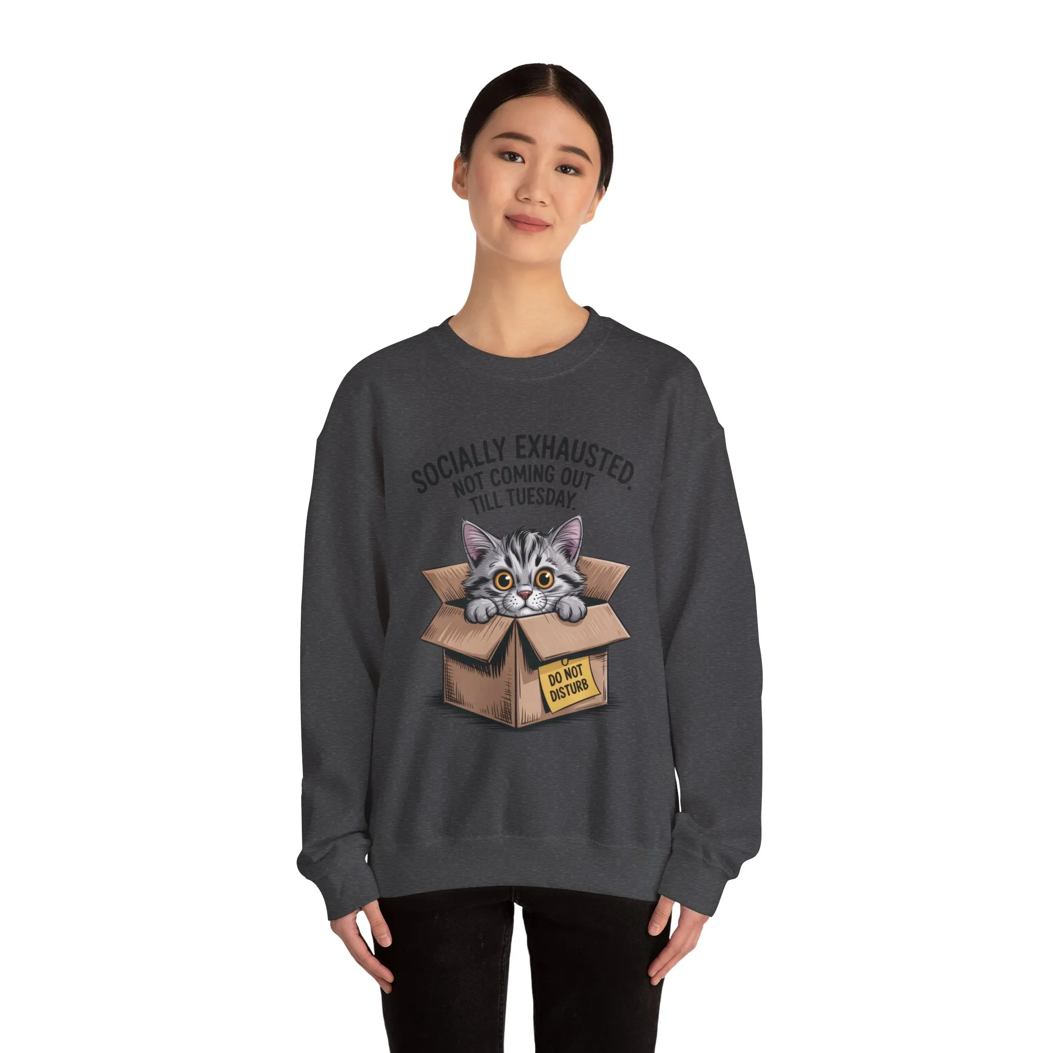 Socially Exhausted Cat Sweatshirt, Funny Cat Crewneck, Gift for Cat Lovers, Cozy Unisex Pullover, Weekend Comfort Apparel - Image 35