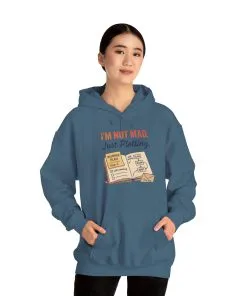 Sarcastic Womens Hoodie, Im Not Mad Just Plotting, Funny Passive Aggressive Sweatshirt Gift, Plotting Humor Hooded Womens Sweatshirt