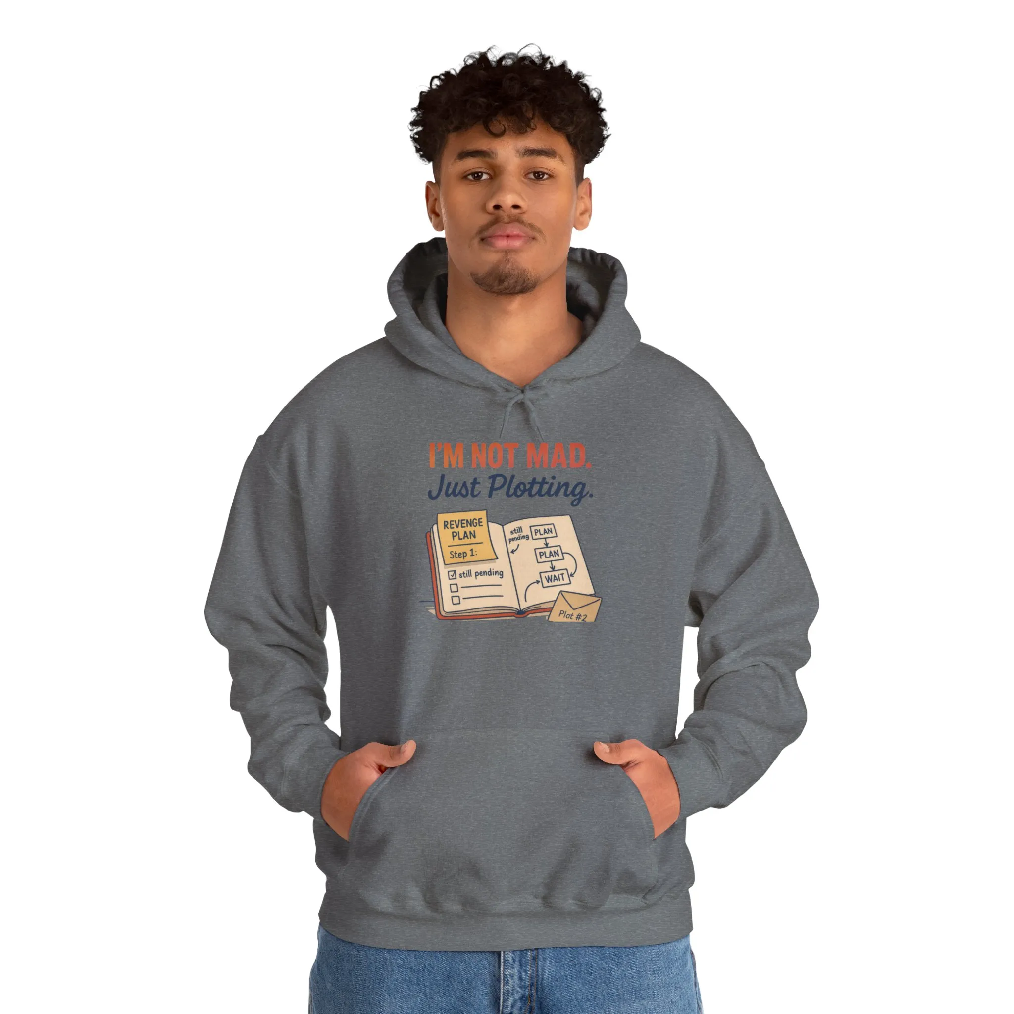 Funny Revenge Hoodie for Men, I'm Not Mad Just Plotting, Passive Aggressive Humor Sweatshirt, Funny Planning Hoodie