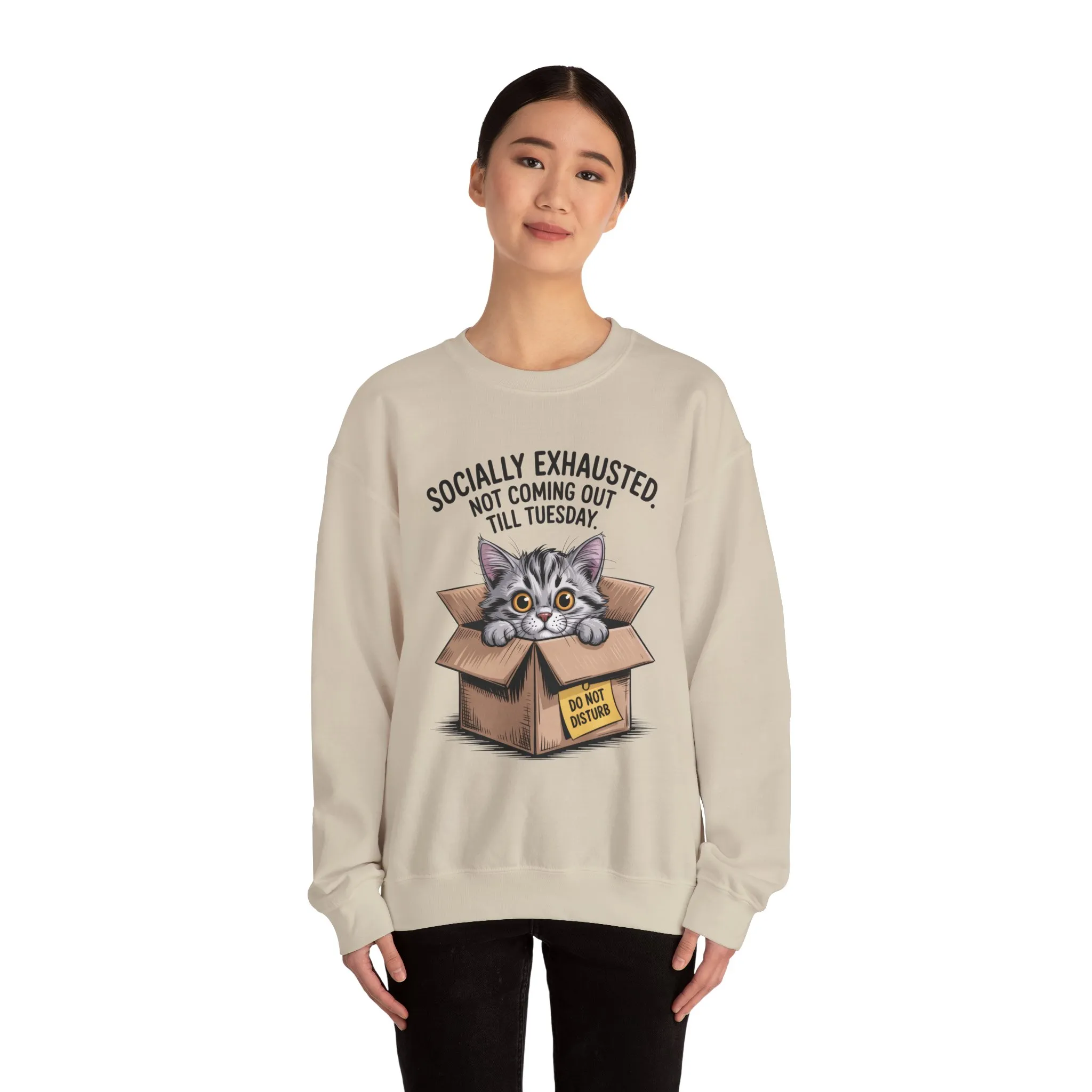 Socially Exhausted Cat Sweatshirt, Funny Cat Crewneck, Gift for Cat Lovers, Cozy Unisex Pullover, Weekend Comfort Apparel - Image 29