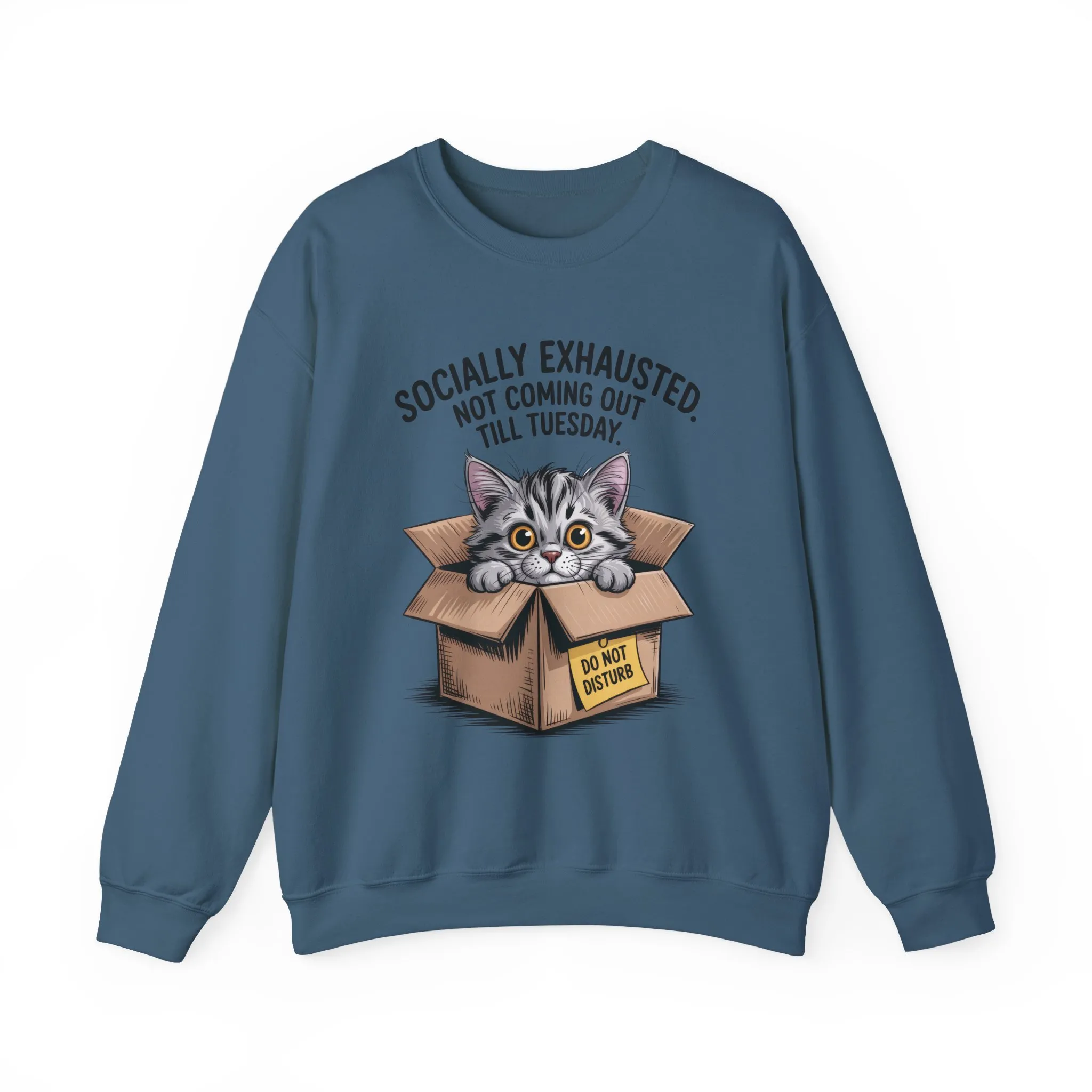 Socially Exhausted Cat Sweatshirt, Funny Cat Crewneck, Gift for Cat Lovers, Cozy Unisex Pullover, Weekend Comfort Apparel - Image 13