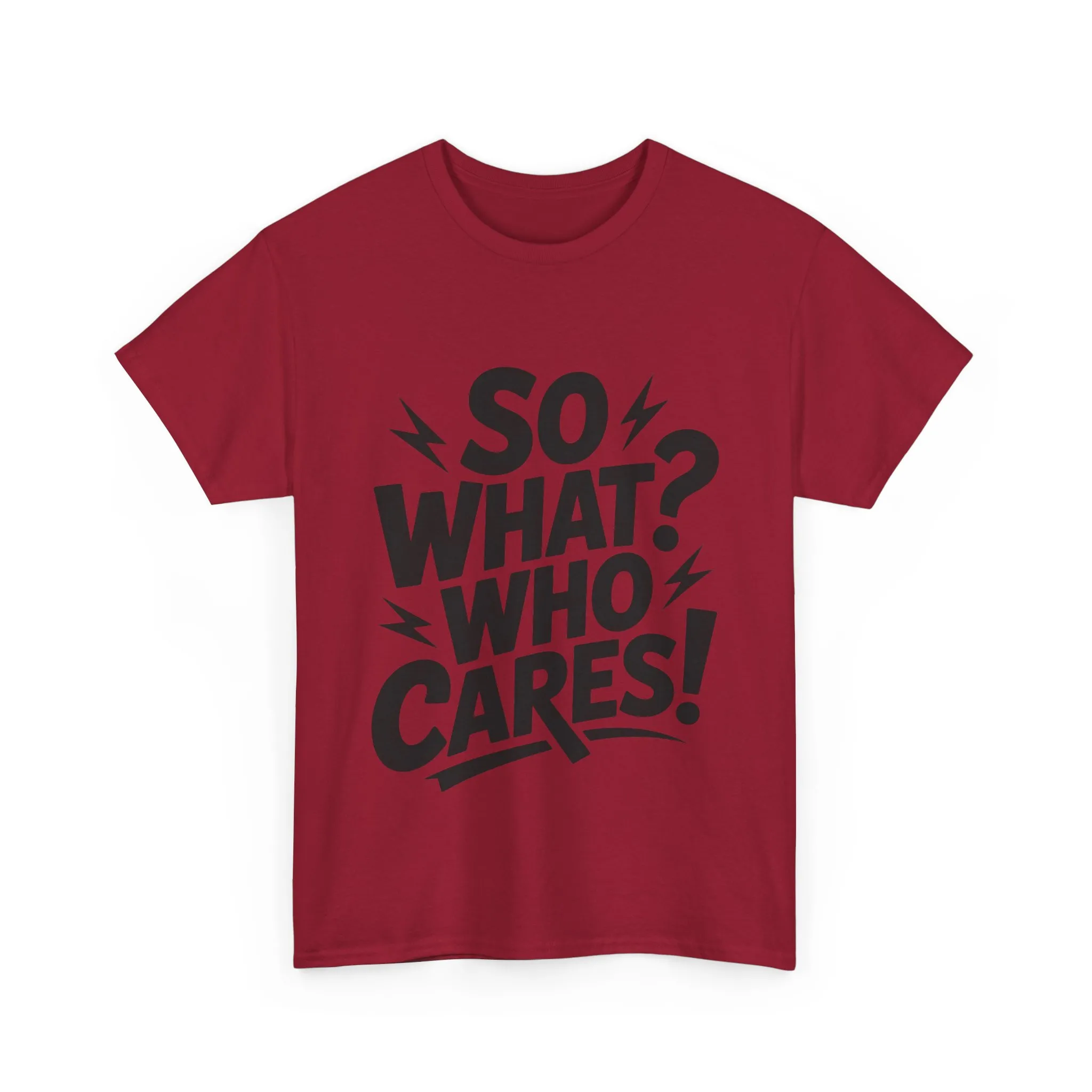 Mens Graphic T-Shirt, Sarcastic Funny Shirt, Rebellious Urban Tee, Black Humor Shirt, So What? Who Cares! T-Shirt, Fun Statement Top - Image 25